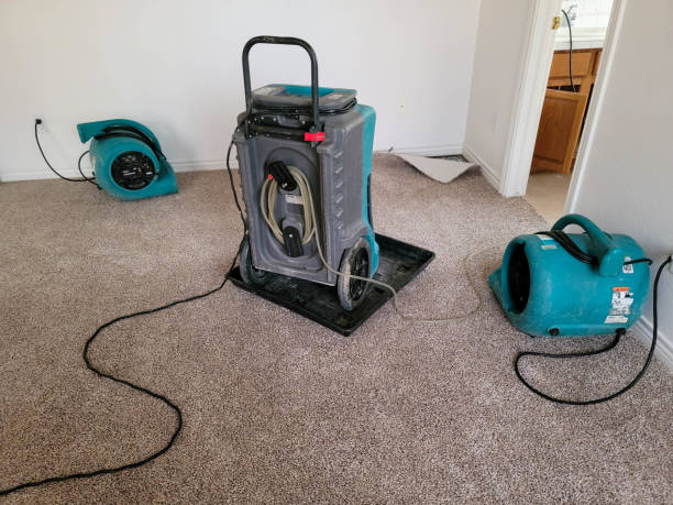 Best Flood damage cleanup  in Morton, MS