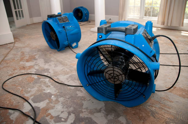 Best 24/7 water damage repair  in Morton, MS