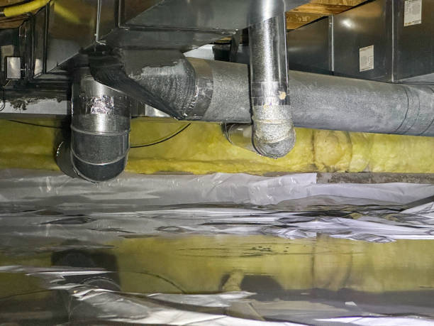 Best Water damage mitigation services  in Morton, MS